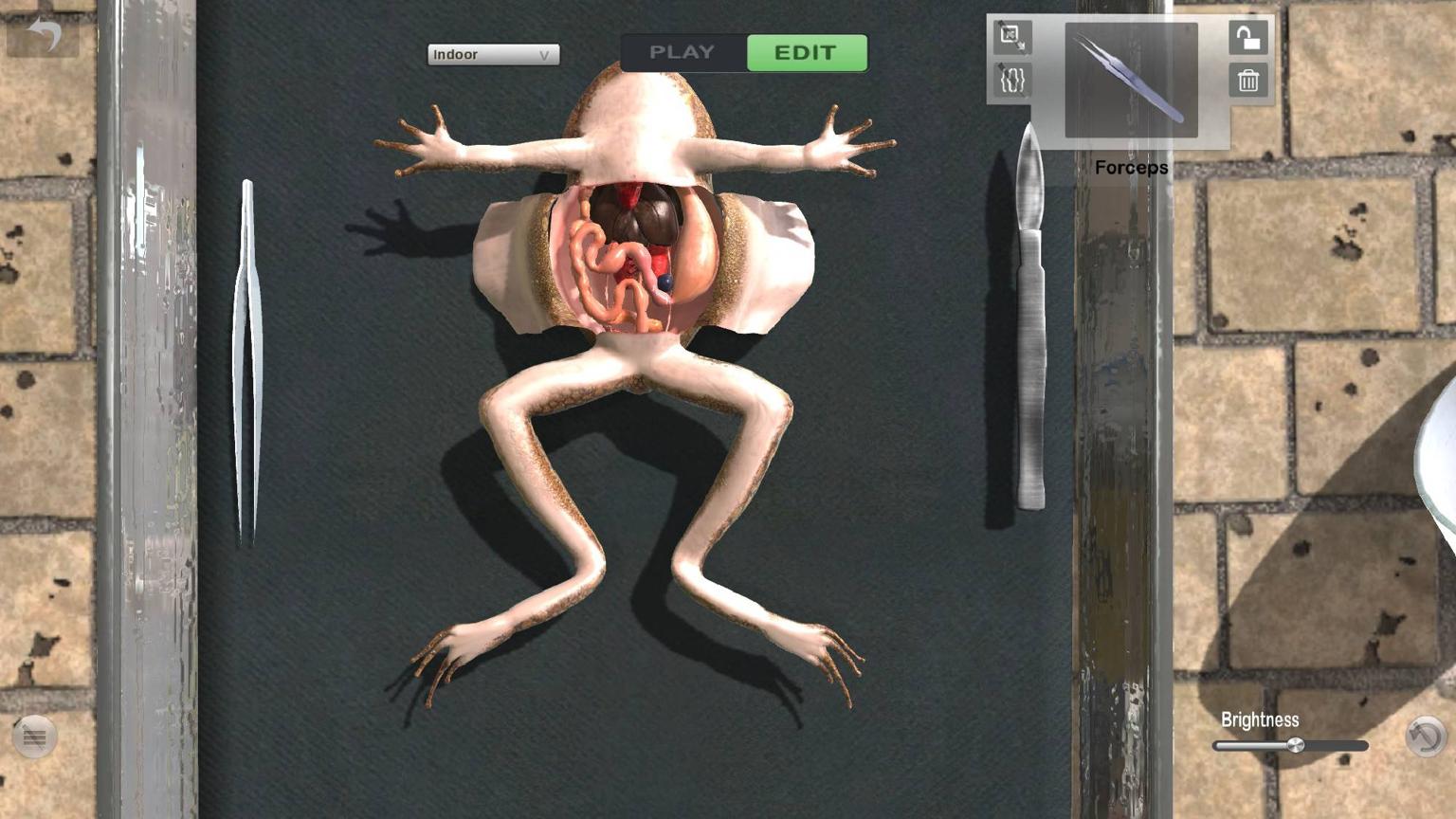 Clite Virtual Lab screenshot 3